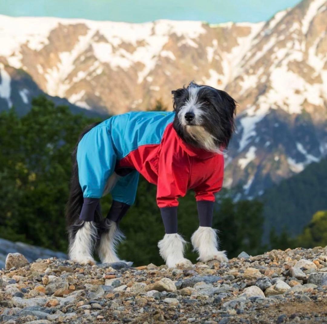 2025 ALPHACON Snow dog guard RETRO SKI L アルファアイコン、スノー