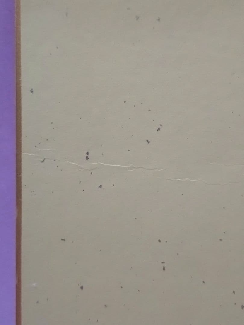 斉藤満喜子 RKBベスト歌謡50当選品 直筆サイン色紙 - メルカリ