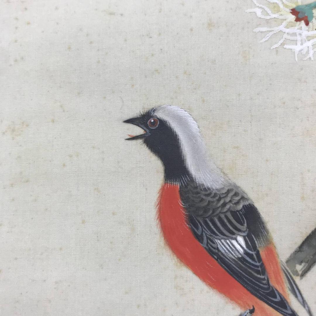 【真作】古川素水/金纓梅小禽図/花鳥図/小鳥図/掛軸/名家伝来/AC-75