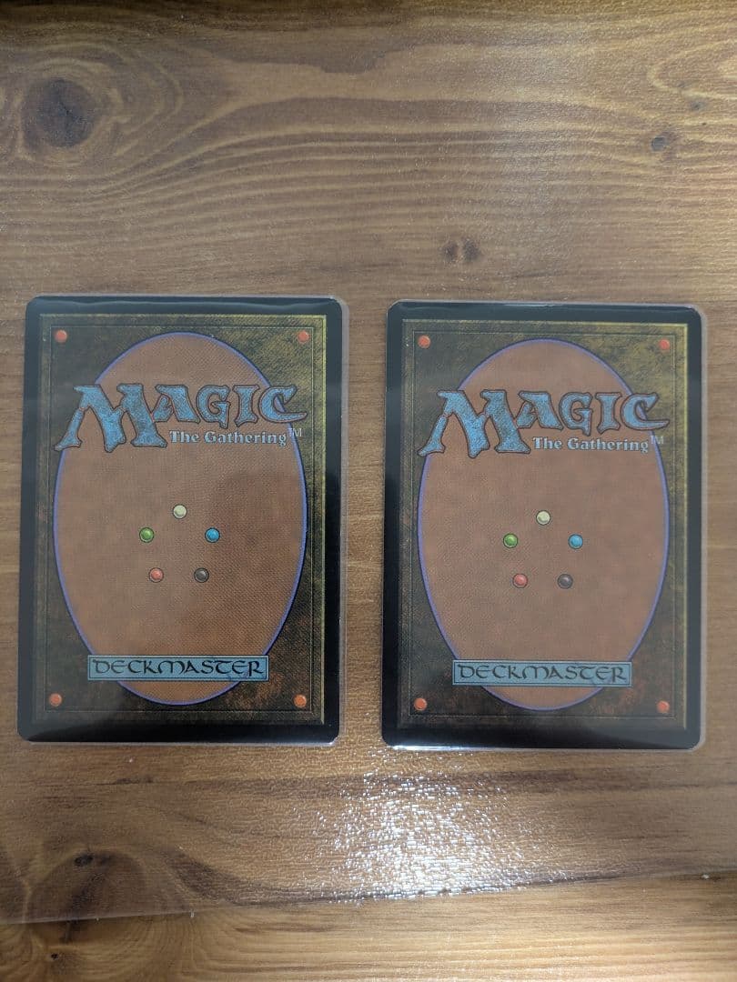 絵描きの召使い　多言語2枚セット