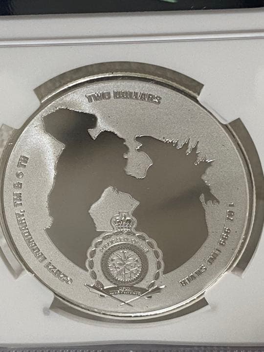 toru様専用 準最高鑑定 ニウエ ゴジラVSコング ゴジラバージョン 銀貨