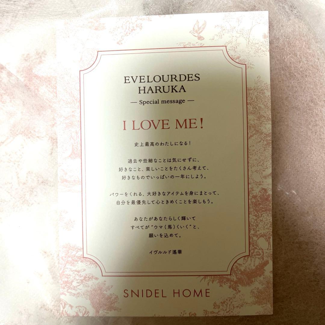 【匿名配送】SNIDEL  スナイデル ホーム 2026 福袋