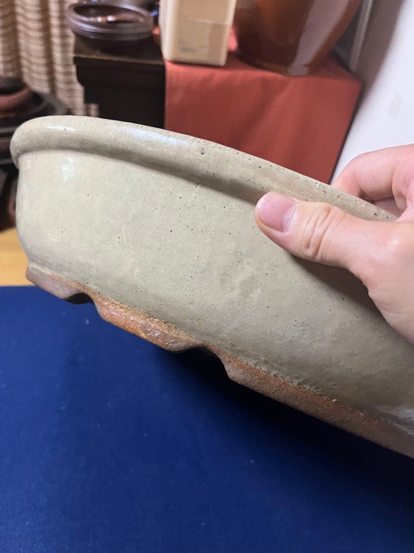 997 盆栽　盆栽鉢　植木鉢　中国鉢　白交趾