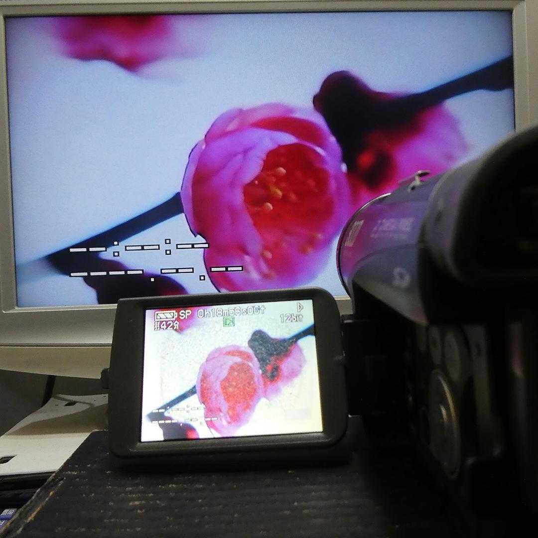 動作良好 パナソニック NV-GS200 MiniDVビデオカメラDVD化に最適