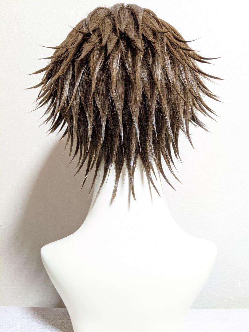 ○手塚 国光 ウィッグ○セット済 テニスの王子様