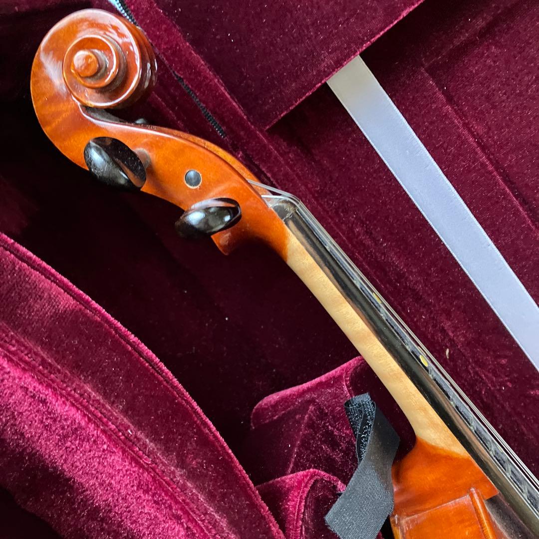 カルロジョルダーノ VS-3 フレット バイオリン4/4 虎目一枚板 一式