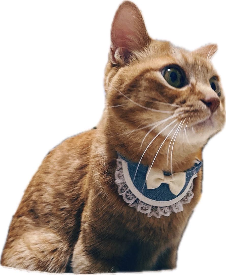 ミニ丸スタイ(野いちご柄 ピンク) No．84-580