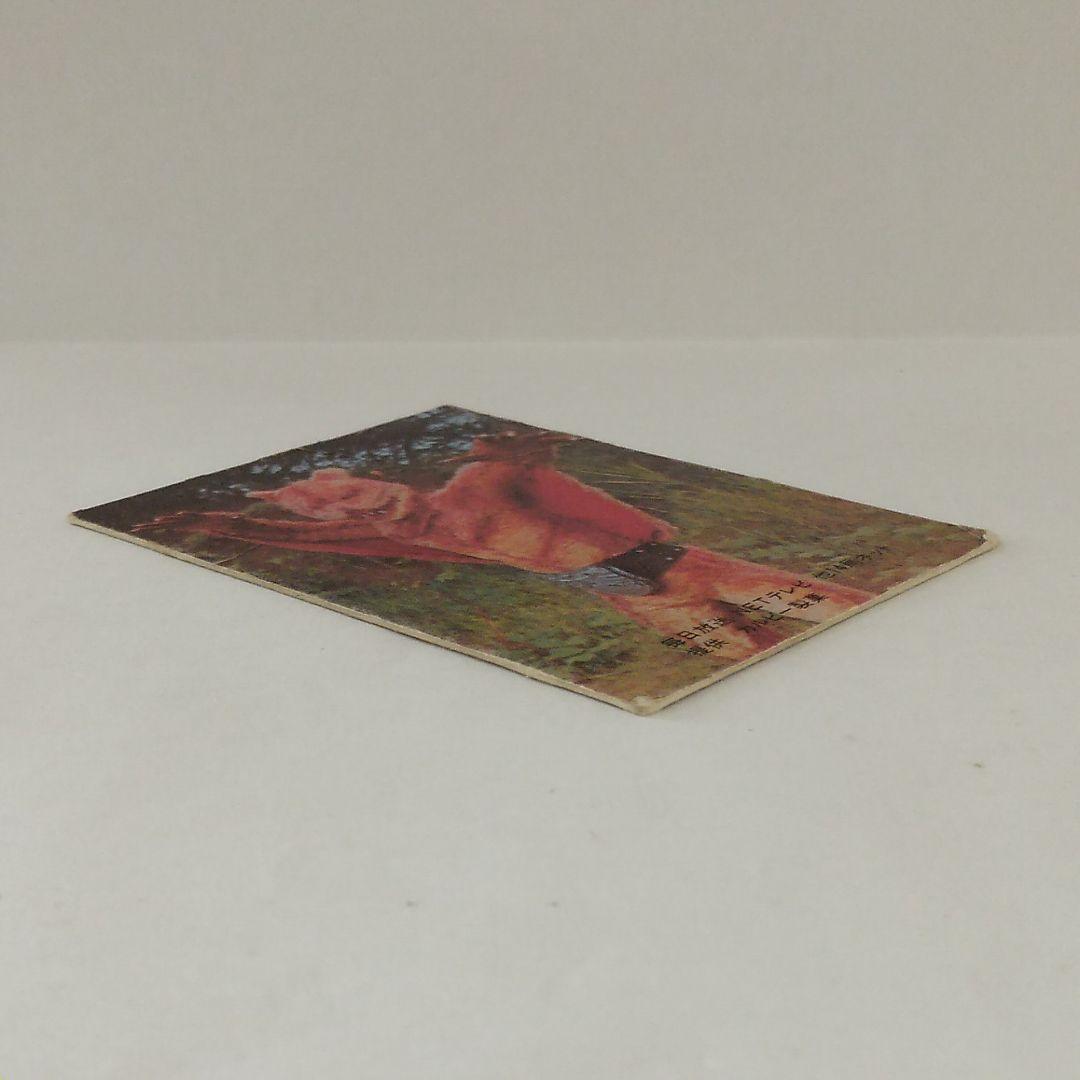 表14局 カルビー 仮面ライダーカード No.20 空とぶ怪人ムササビドール