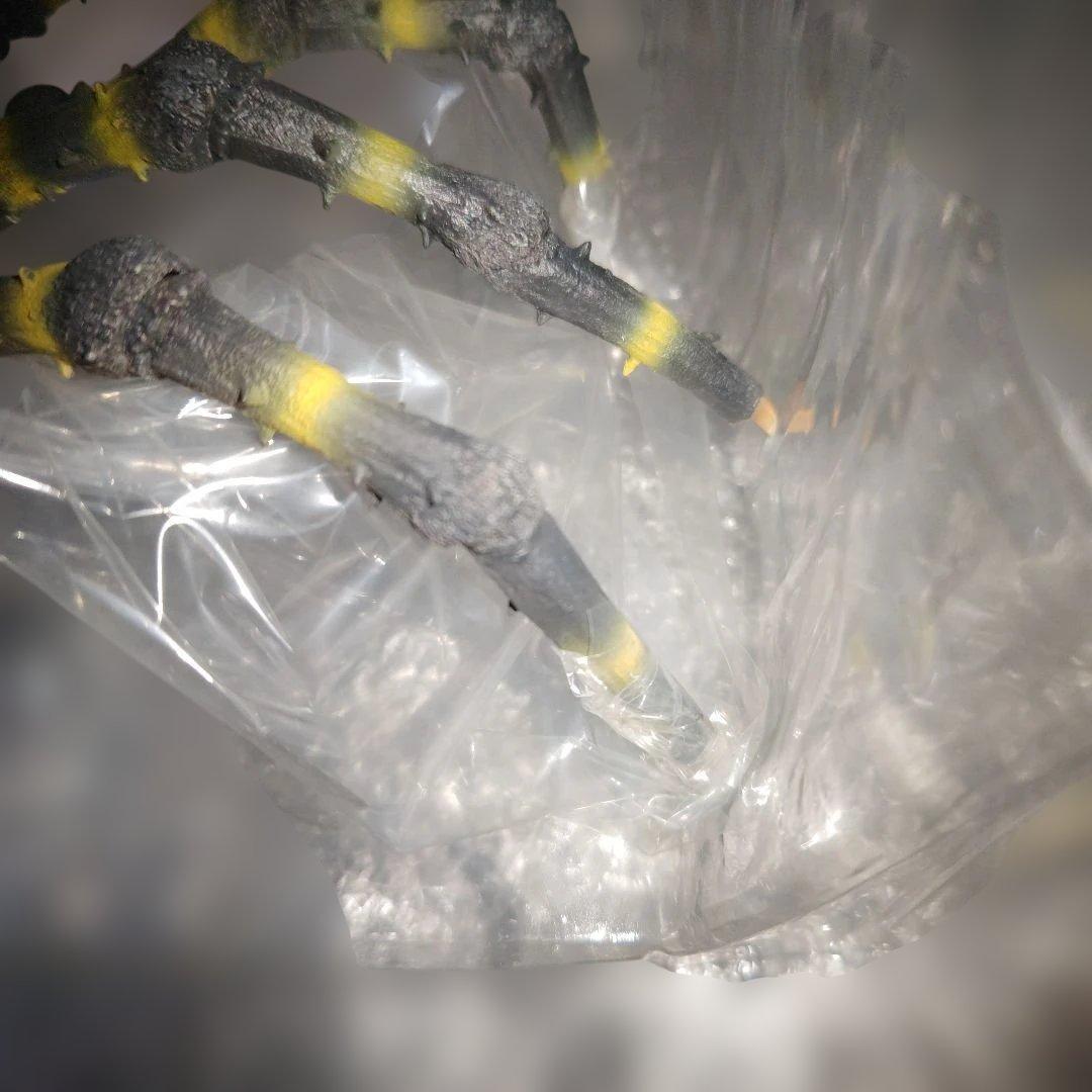 東宝大怪獣シリーズ　クモンガ　少年リック限定版　カマキラス台座付属　フィギュア