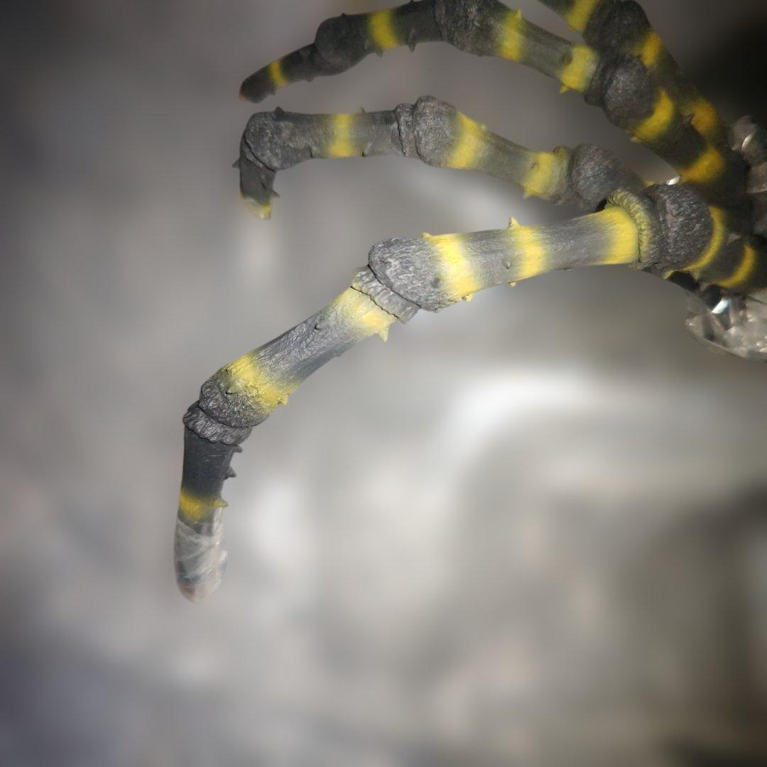 東宝大怪獣シリーズ　クモンガ　少年リック限定版　カマキラス台座付属　フィギュア