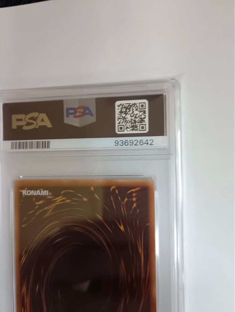 2024 YU-GI-OH! 青眼の白龍 東京ドーム限定