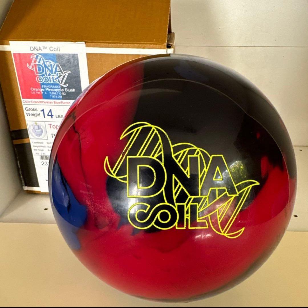 未開封】アメリカドクトカゲ 根付