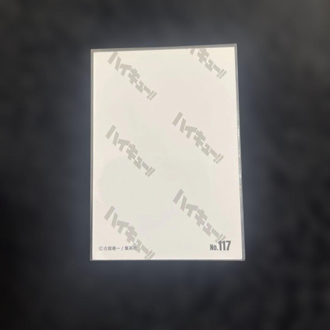 ハイキュー!! 10thクロニクル フォトカードNo.117 日向翔陽 鷲匠鍛治