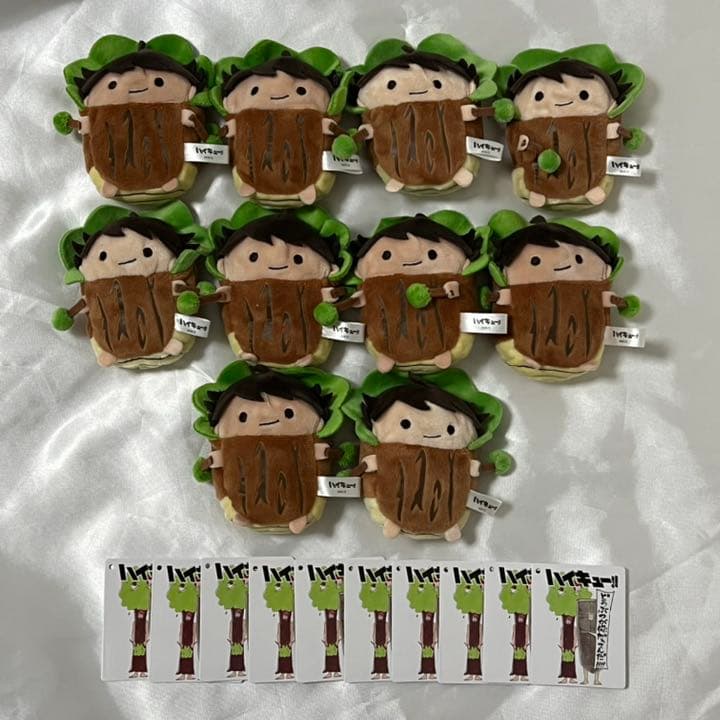 patorasu.anjyuさま専用＊ アガリクスI/S 中粒 18kg