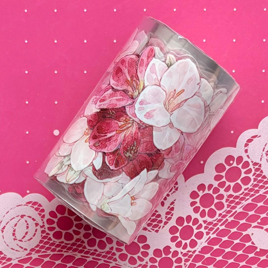 贝壳 番茄炒蛋 ダイカット加工 6cm×4.4m 海外マスキングテープ