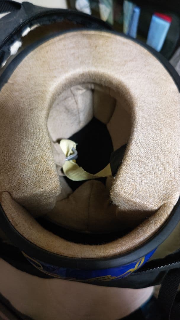 F1ドライバー オリビエ・パニスの直筆サイン入り レプリカヘルメット