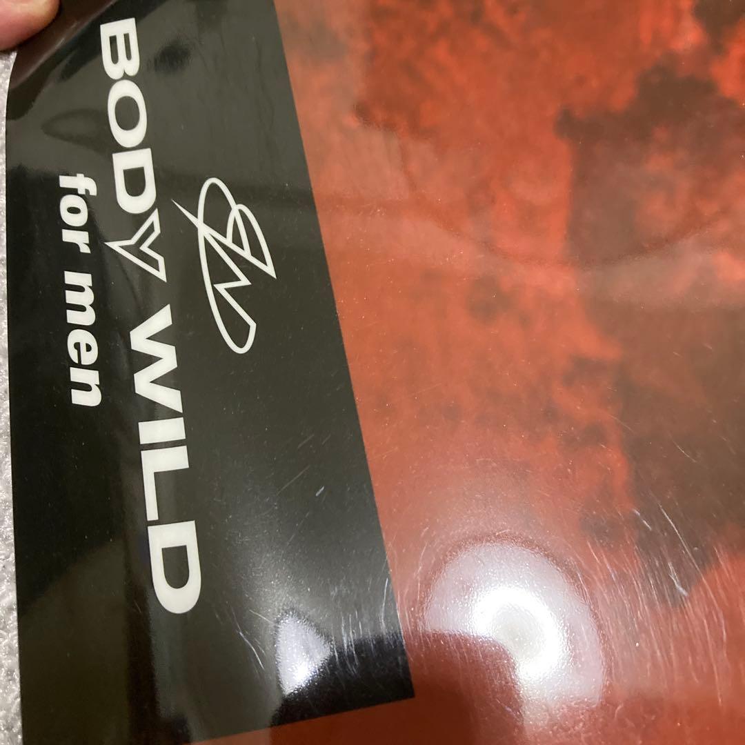 井川遥　BODY WILD 店頭用 バックライトポスター（電飾用）非売品　赤