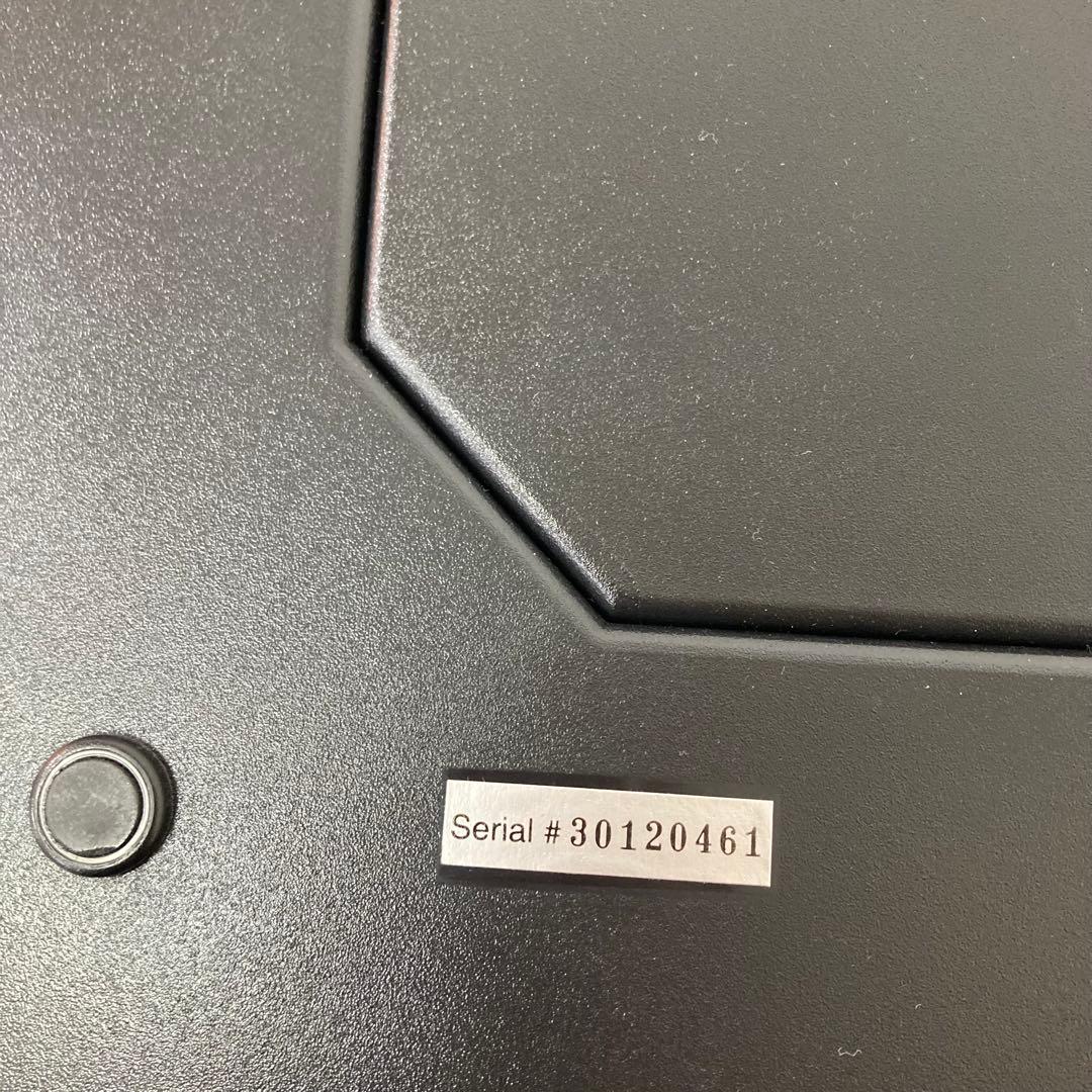 208-H ANIMATED ディズニー スチームボートウィリー 蒸気船ウィリー