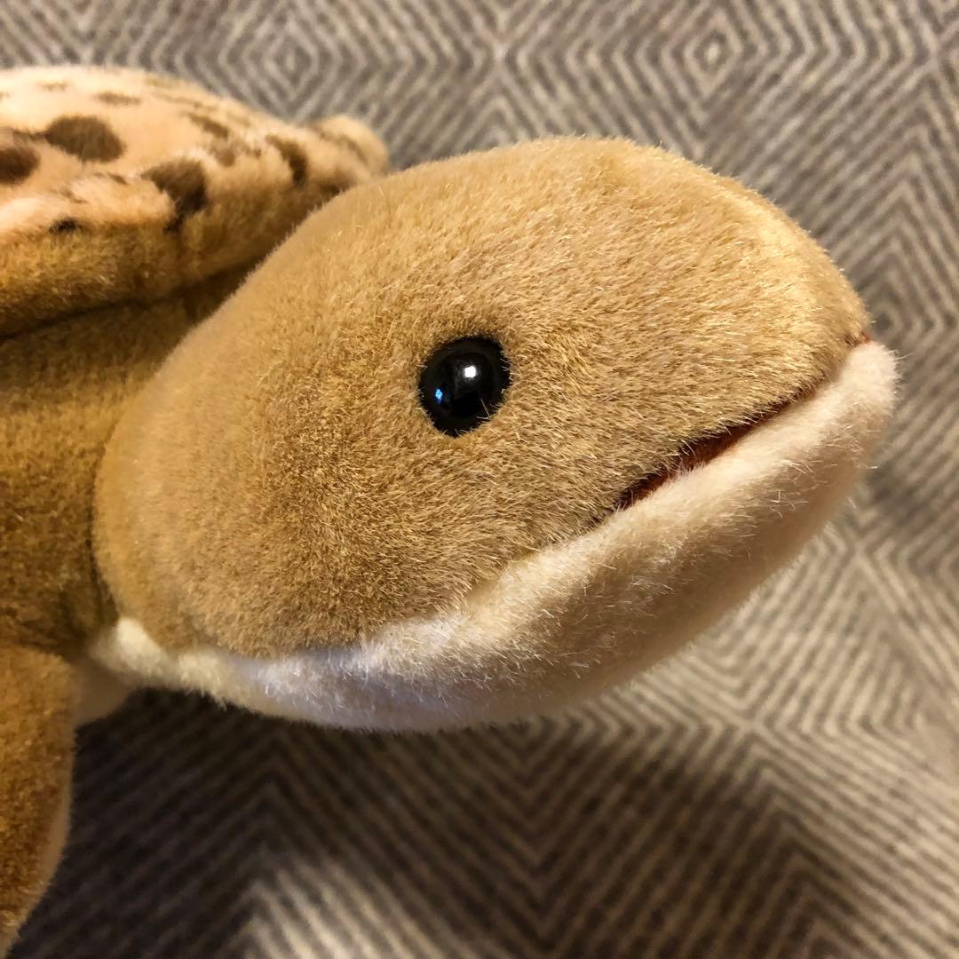 セキグチ　ウミガメ　亀　かめ　Earth Wind ぬいぐるみ