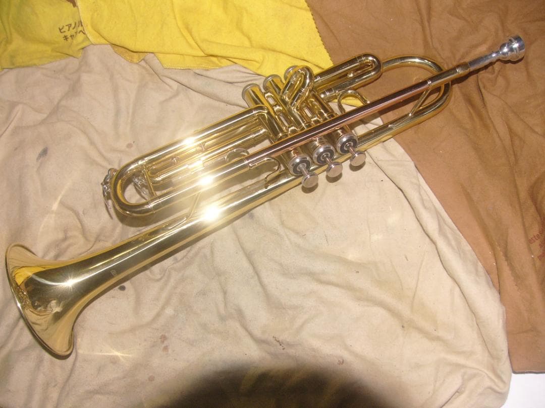 超激安特価！生産終了品 ・ENNBOM バックスタイルモデル Tp（新古品級）