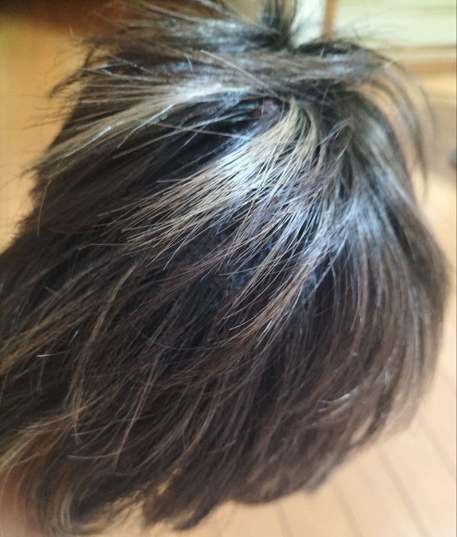 パープルプル　アデランスフォンテーヌR'couleur メッシュショート