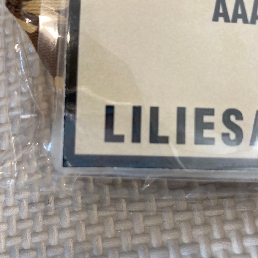 Dragon Ash ドラゴンアッシュ パス 非売品 kj THE RAVENS - メルカリ