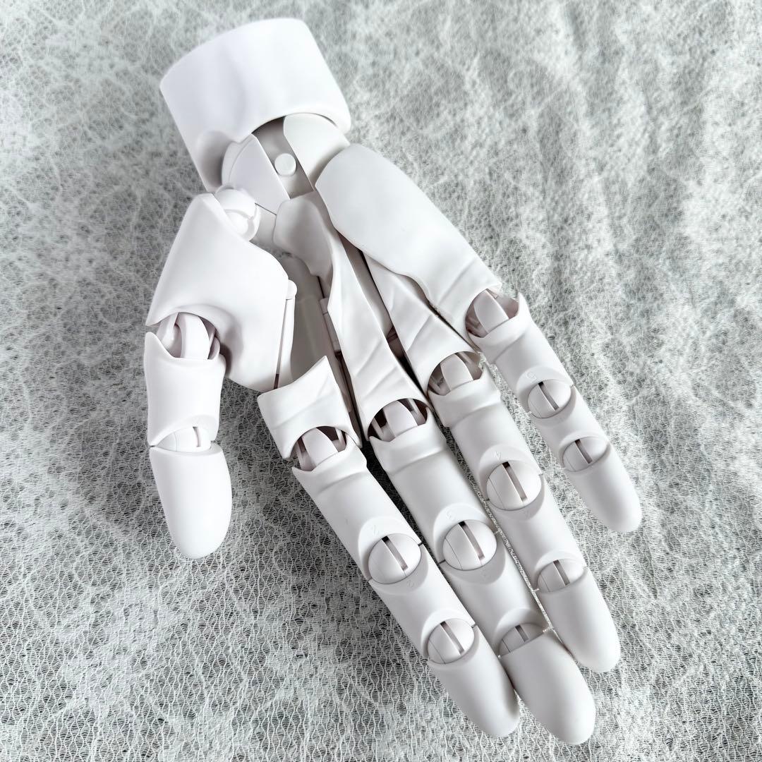 KOTOBUKIYA ハンドモデル/R -WHITE- コトブキヤ ハンドモデル 加々美