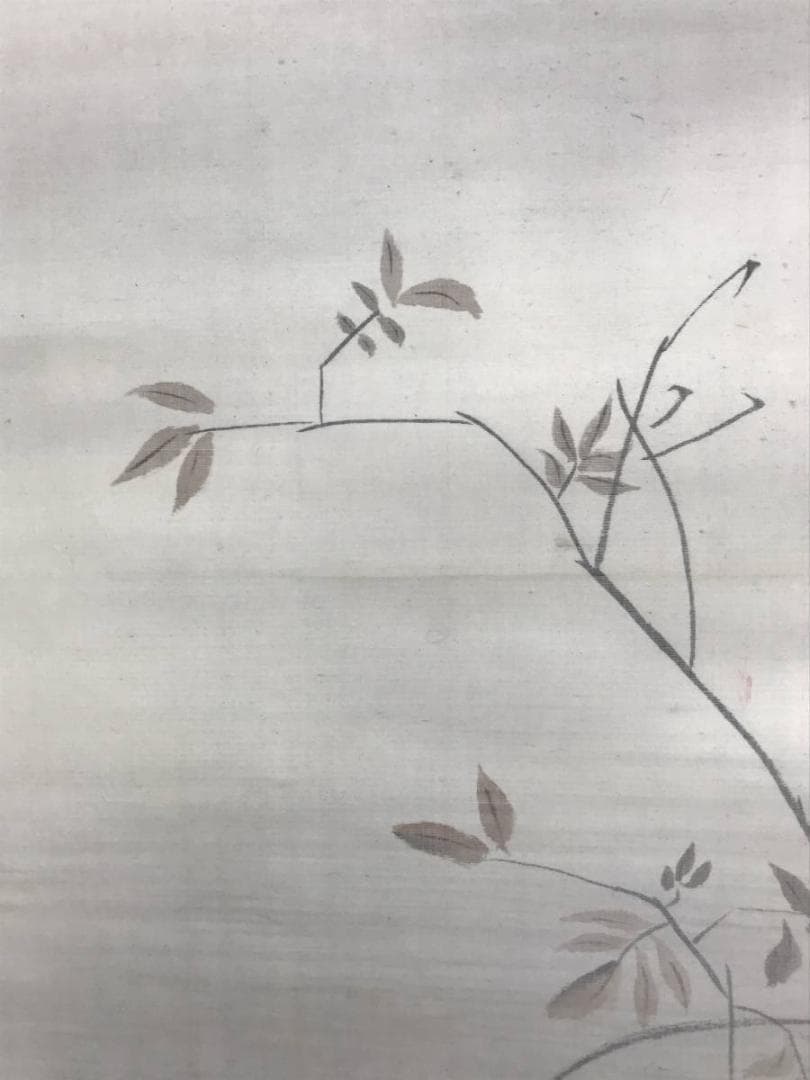 【真作】翠峰/狸図/タヌキ図/たぬき図/掛軸/名家伝来/AD-786