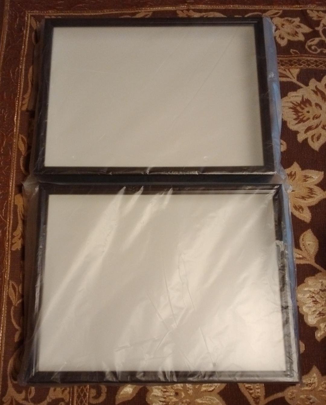 2個セット 標本箱 中型 バードウィング ドイツ箱 昆虫標本 インセクト