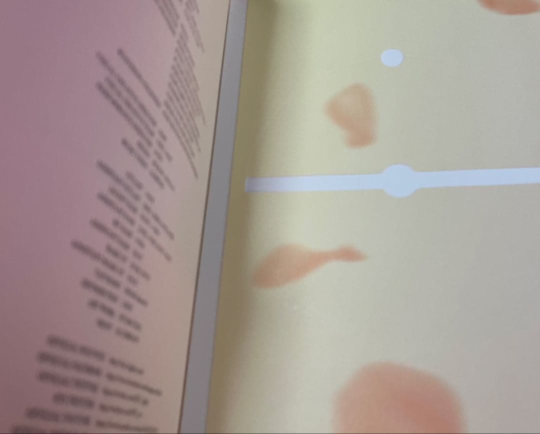 【激レア！】BTS 全員サイン入り 花様年華pt.2 アルバム