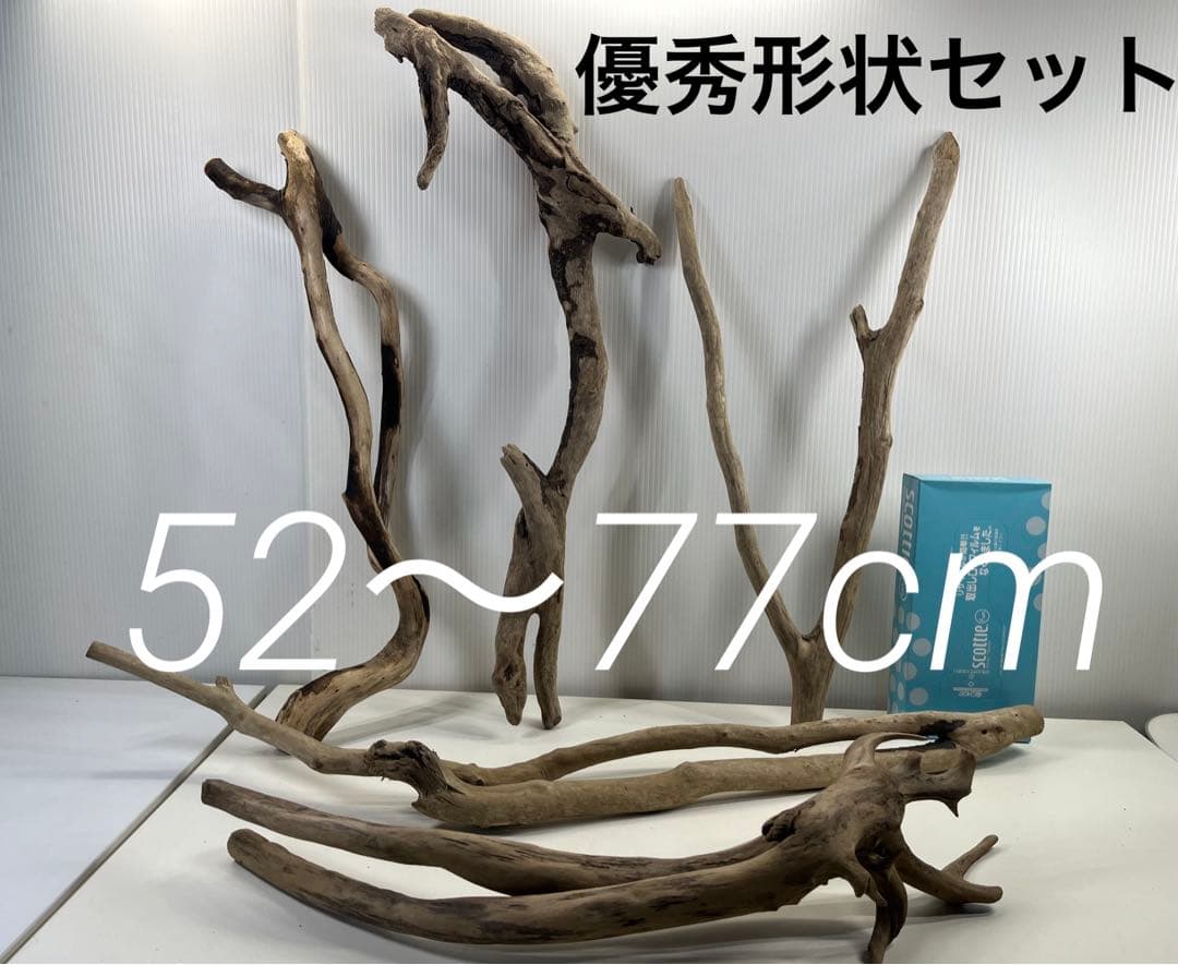 F4 アク抜き済み流木セット爬虫類シェルター 登り木 インテリア 生け花