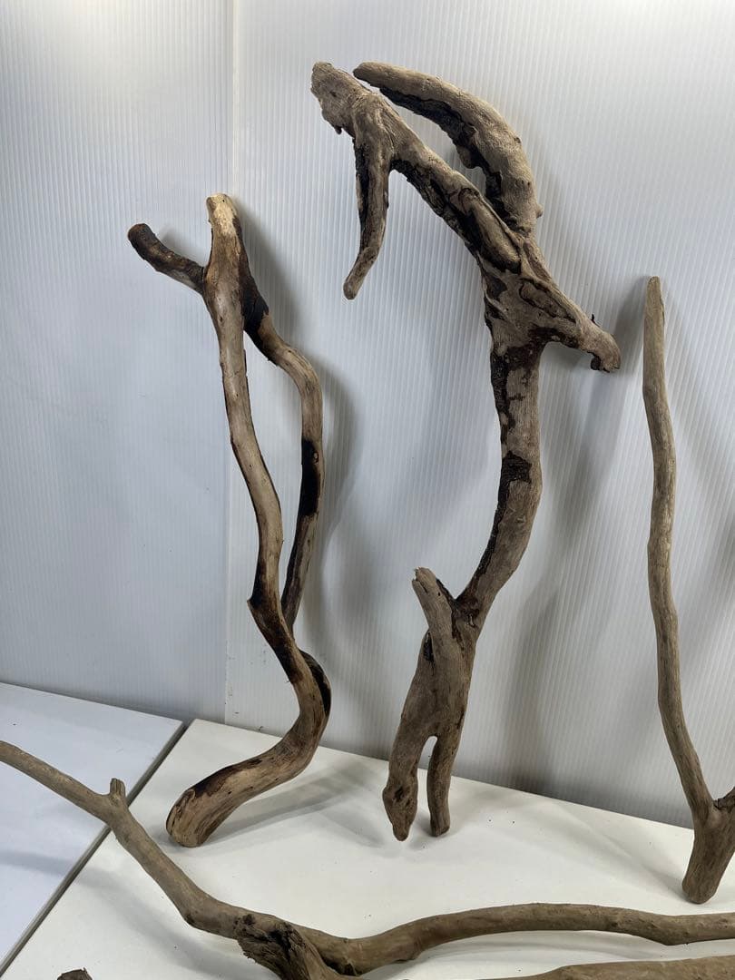 F4 アク抜き済み流木セット爬虫類シェルター 登り木 インテリア 生け花