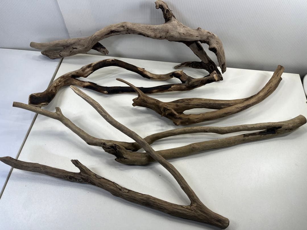 F4 アク抜き済み流木セット爬虫類シェルター 登り木 インテリア 生け花