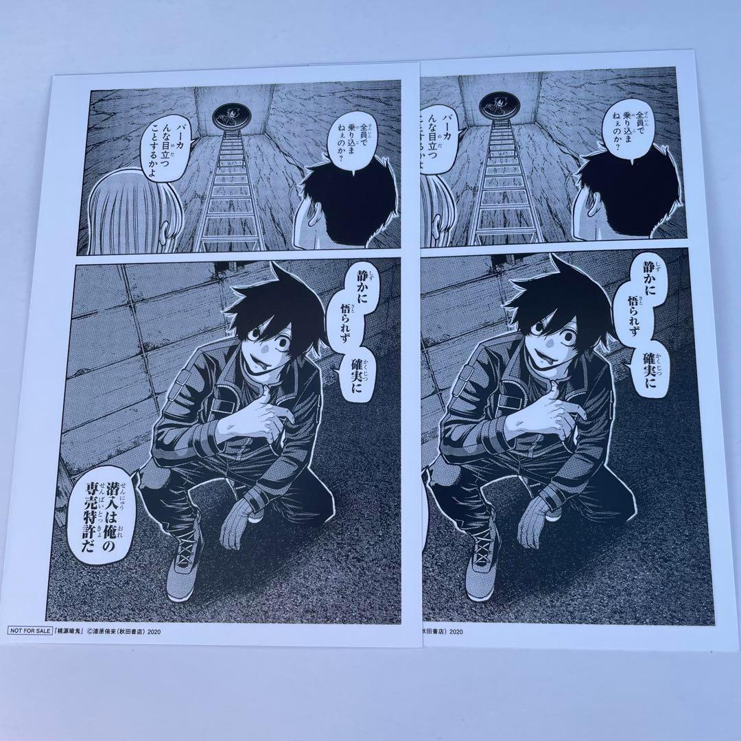 桃源暗鬼 両面イラストカード 淀川真澄 2枚セットTSUTAYA特典ポスト