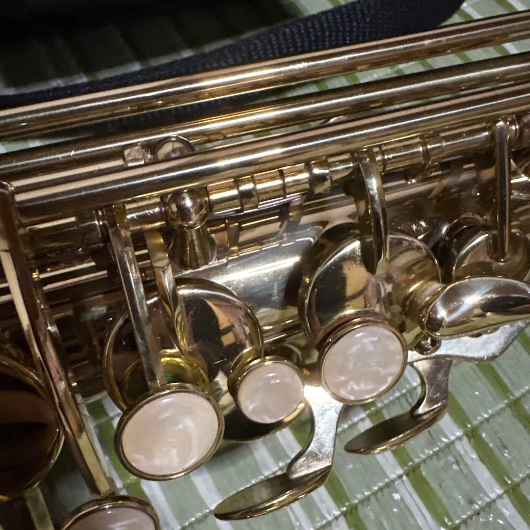 SELVA セルバ アルトサックス SAS-100 ケース付き　管楽器　音楽