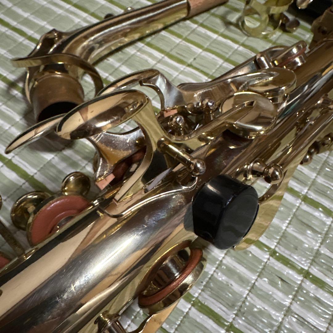 SELVA セルバ アルトサックス SAS-100 ケース付き　管楽器　音楽