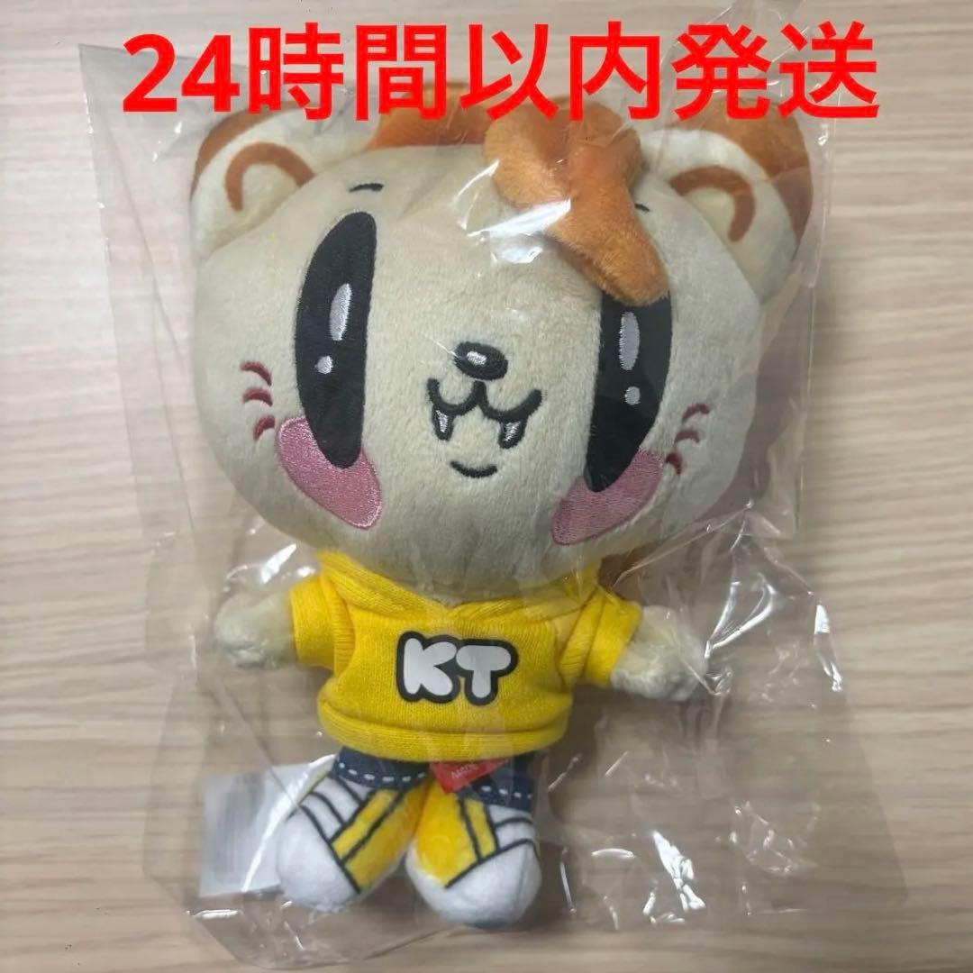 即購入可 AKB48 サイン入り タオル