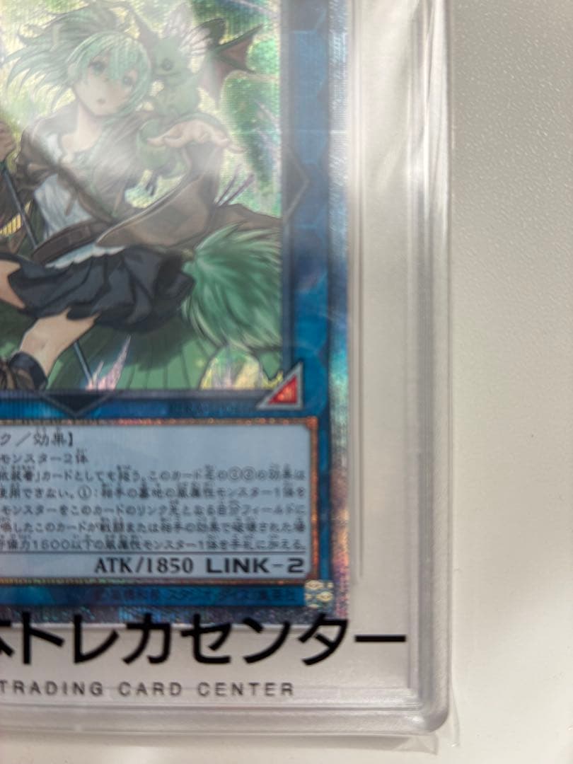 遊戯王 蒼翠の風霊使いウィン 20th PSA10