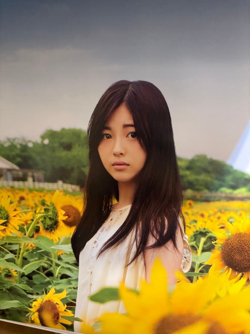 2017年 東宝 カレンダー - メルカリ