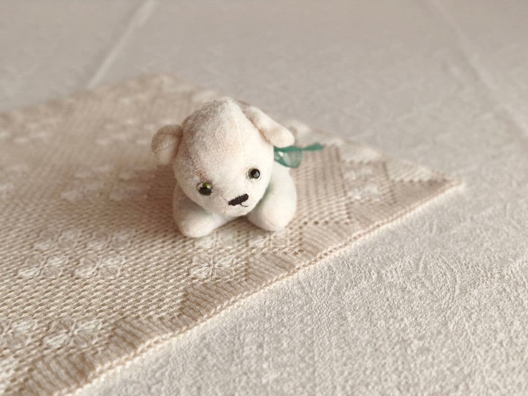 【チョコメルさま】vintage cat ୨୧ ベイビーフェイス 猫ちゃん