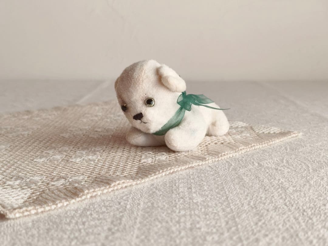 【チョコメルさま】vintage cat ୨୧ ベイビーフェイス 猫ちゃん