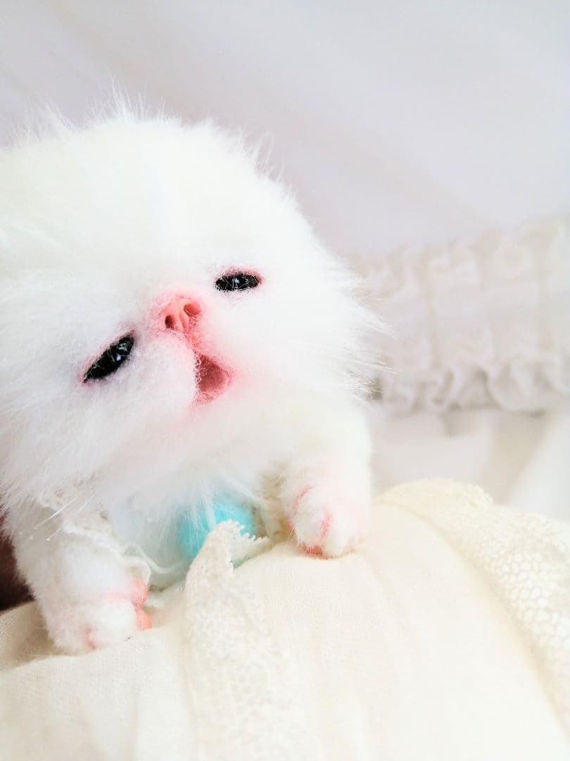 チワボボちゃん② おしゃぶり付き アートドール ぬいぐるみ チワボボ