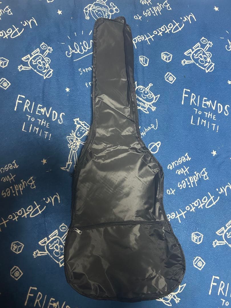 ミさん専用) 新品 未使用❣️ブラウンcolor アコースティックギター‼️