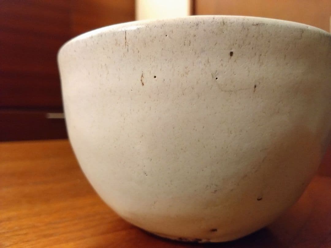 toky 大原光一 solomon 紫丹釉 Ｌsize 定価9900円