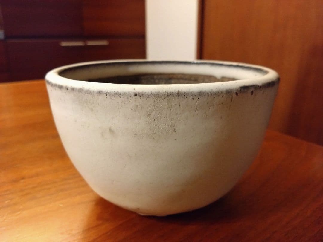 toky 大原光一 solomon 紫丹釉 Ｌsize 定価9900円