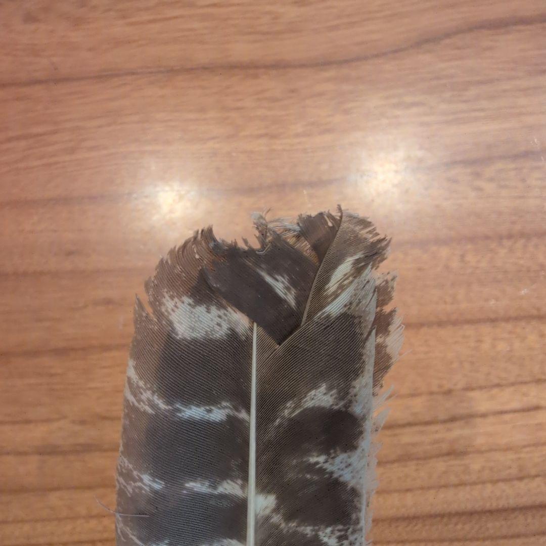 羽箒2点 (1点は未使用 箒博作)