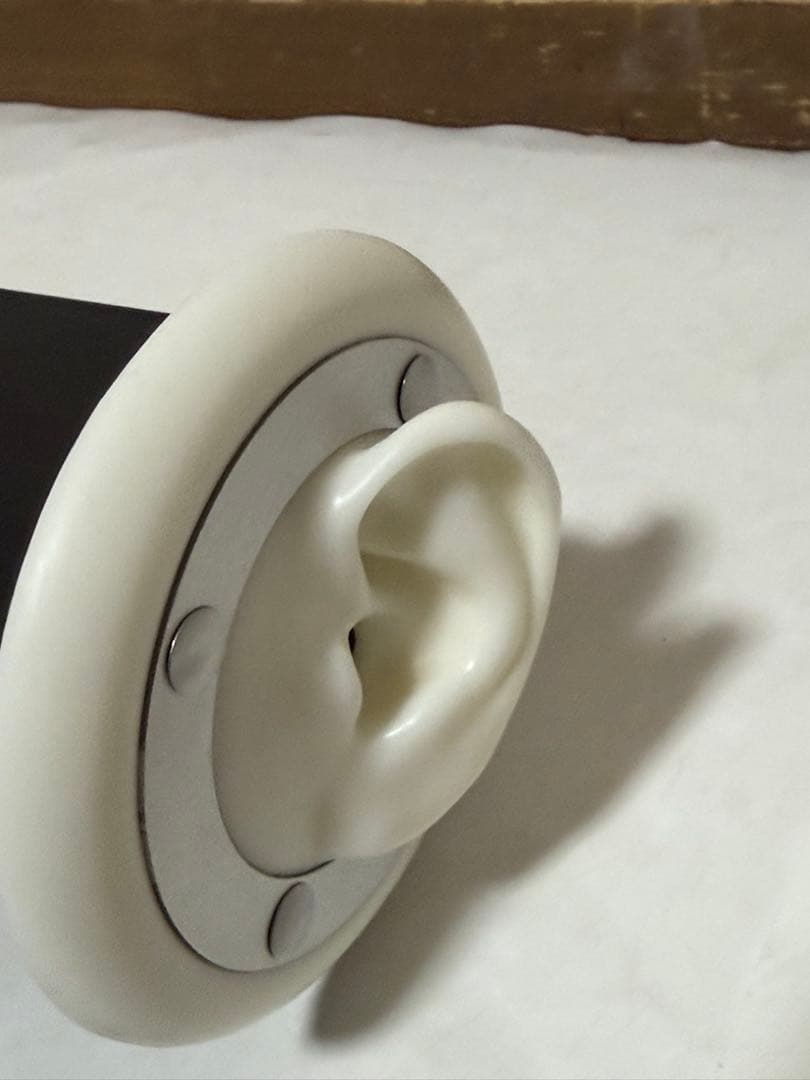 3Dio FS free space ASMR バイノーラルマイク