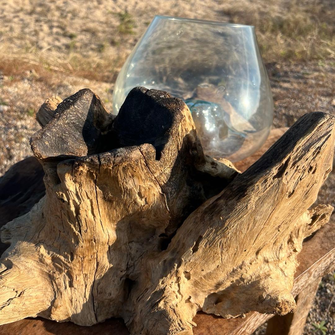 流木ガラス オブジェ超特大J 花瓶 金魚鉢 水槽 テラリウム 観賞魚