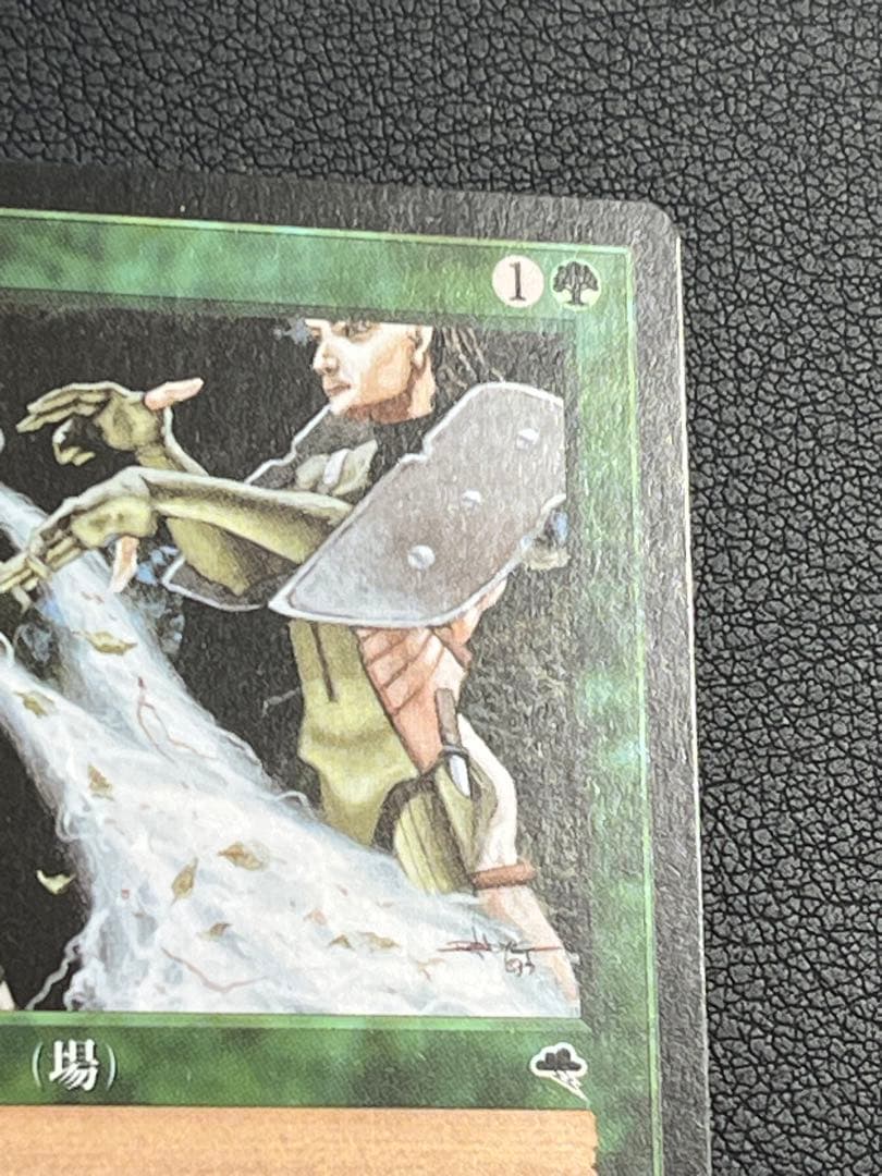 MTG 大地の知識　日本語　テンペスト