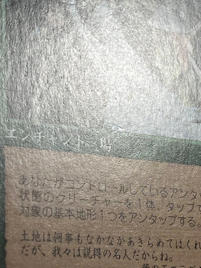 MTG 大地の知識　日本語　テンペスト